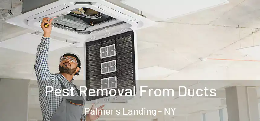  Pest Removal From Ducts Palmer's Landing - NY