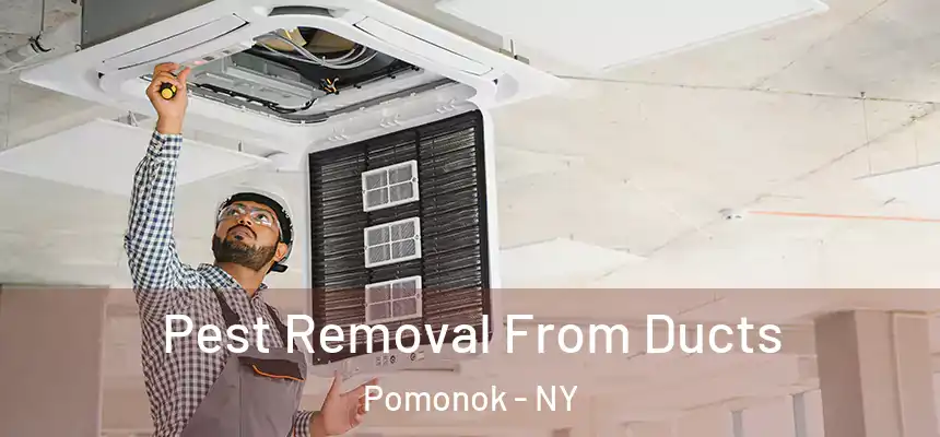  Pest Removal From Ducts Pomonok - NY