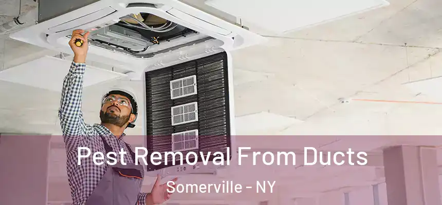  Pest Removal From Ducts Somerville - NY
