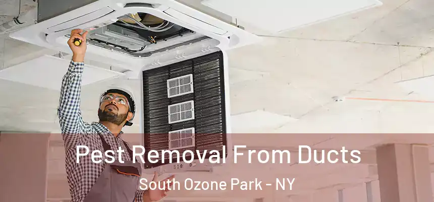  Pest Removal From Ducts South Ozone Park - NY