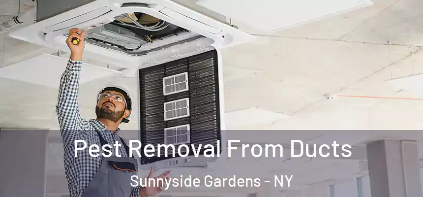  Pest Removal From Ducts Sunnyside Gardens - NY