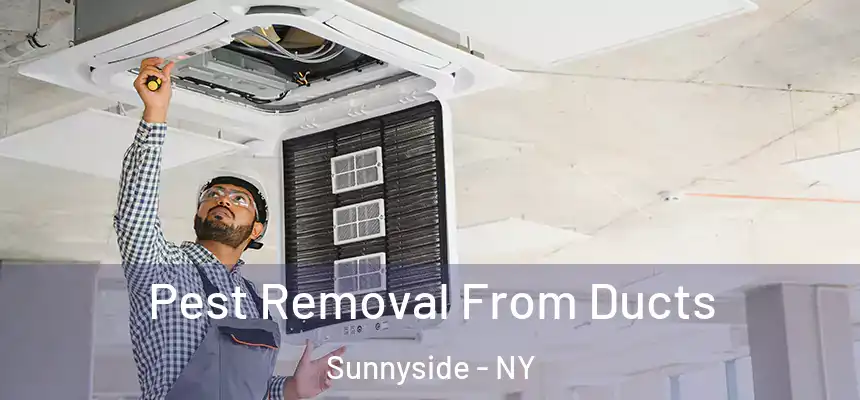Pest Removal From Ducts Sunnyside - NY
