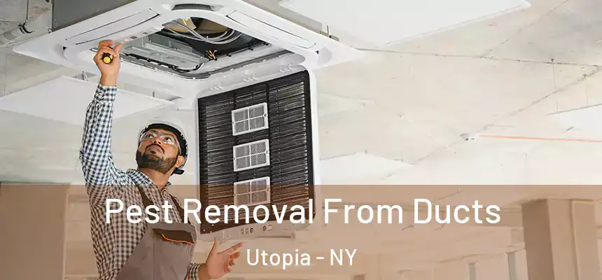  Pest Removal From Ducts Utopia - NY