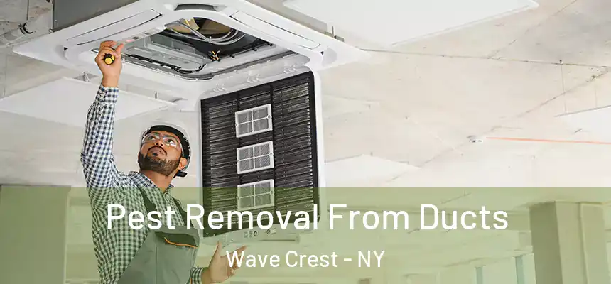  Pest Removal From Ducts Wave Crest - NY