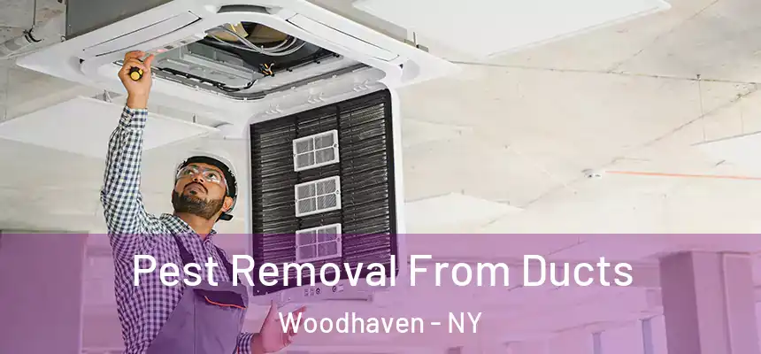  Pest Removal From Ducts Woodhaven - NY