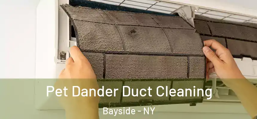  Pet Dander Duct Cleaning Bayside - NY
