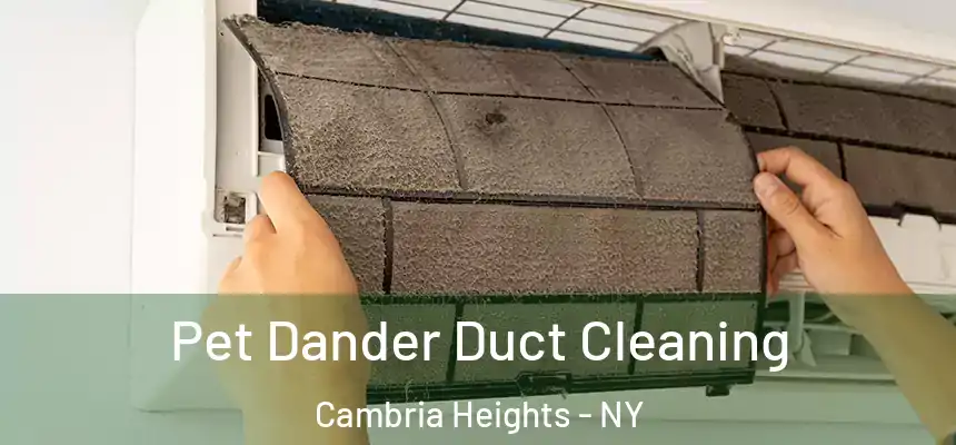 Pet Dander Duct Cleaning Cambria Heights - NY