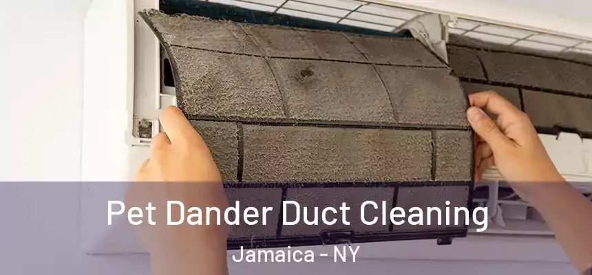  Pet Dander Duct Cleaning Jamaica - NY