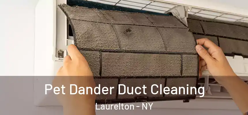  Pet Dander Duct Cleaning Laurelton - NY