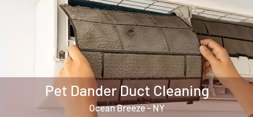  Pet Dander Duct Cleaning Ocean Breeze - NY