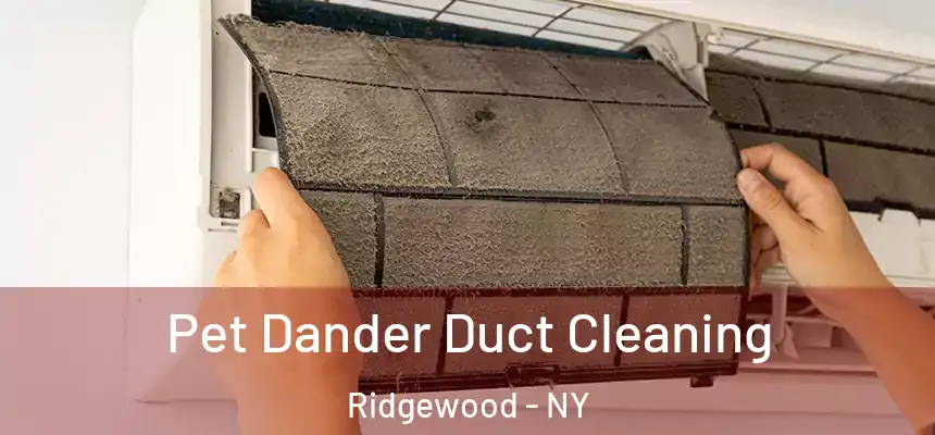  Pet Dander Duct Cleaning Ridgewood - NY
