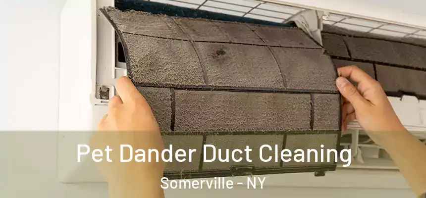  Pet Dander Duct Cleaning Somerville - NY