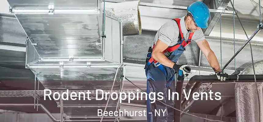  Rodent Droppings In Vents Beechhurst - NY