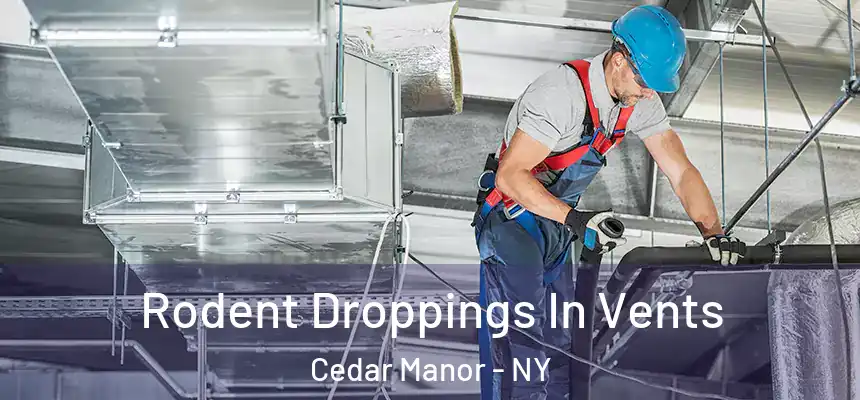 Rodent Droppings In Vents Cedar Manor - NY