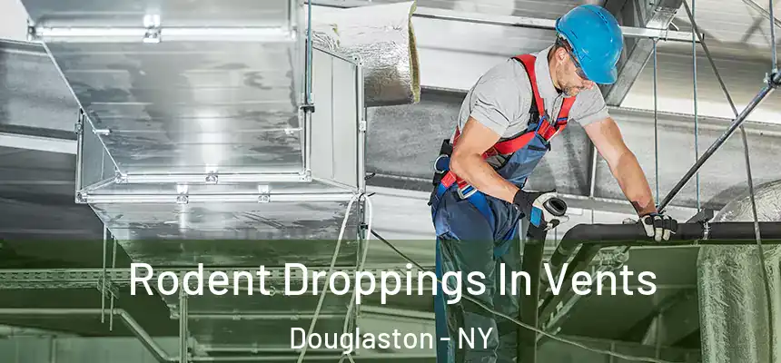 Rodent Droppings In Vents Douglaston - NY