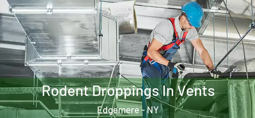  Rodent Droppings In Vents Edgemere - NY
