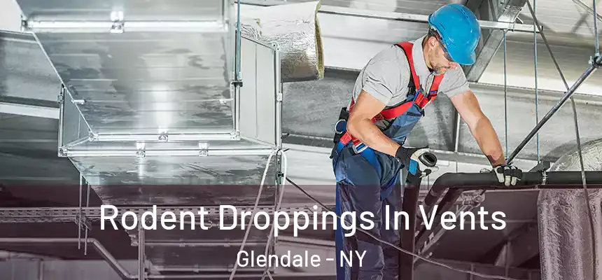 Rodent Droppings In Vents Glendale - NY