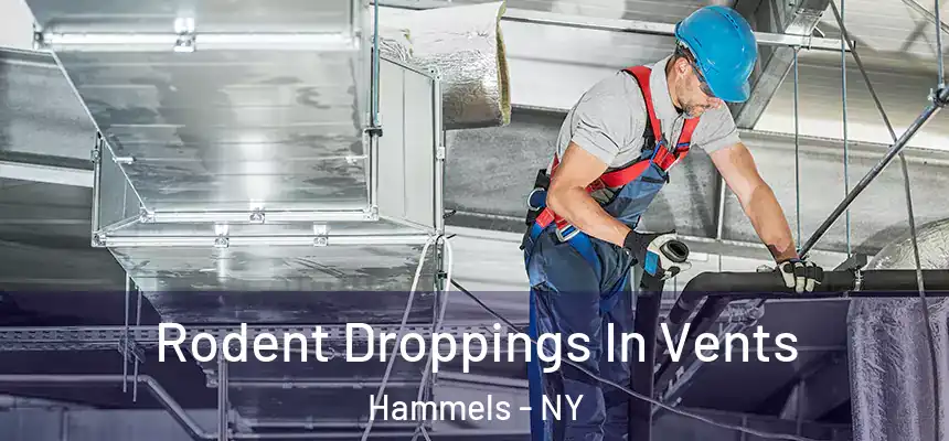  Rodent Droppings In Vents Hammels - NY