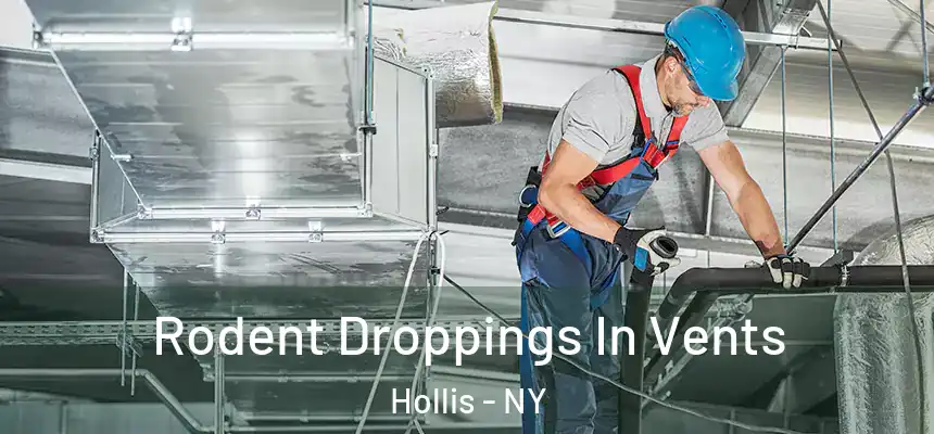  Rodent Droppings In Vents Hollis - NY