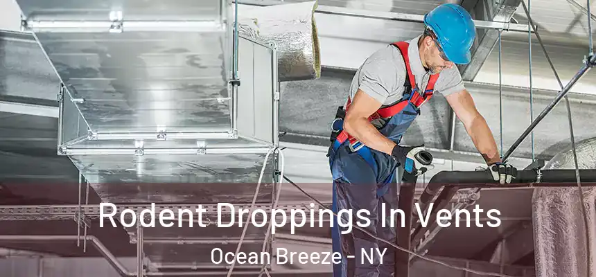  Rodent Droppings In Vents Ocean Breeze - NY