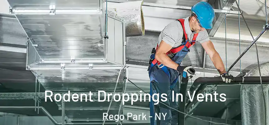  Rodent Droppings In Vents Rego Park - NY