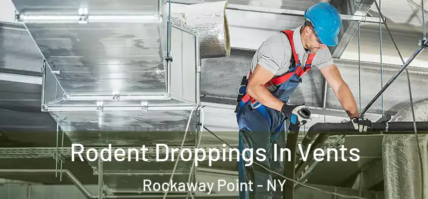  Rodent Droppings In Vents Rockaway Point - NY