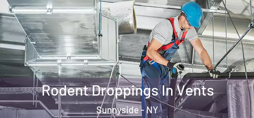  Rodent Droppings In Vents Sunnyside - NY