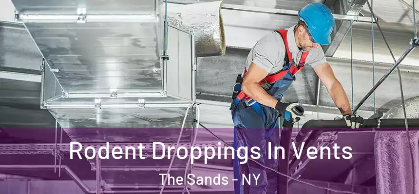 Rodent Droppings In Vents The Sands - NY