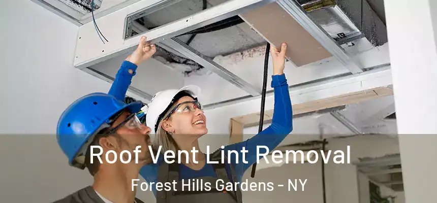 Roof Vent Lint Removal Forest Hills Gardens - NY
