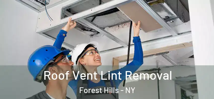  Roof Vent Lint Removal Forest Hills - NY
