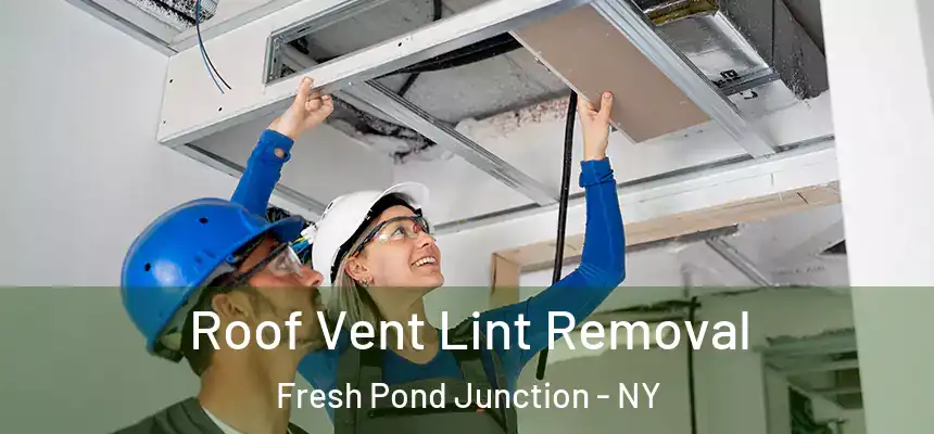 Roof Vent Lint Removal Fresh Pond Junction - NY