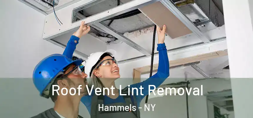 Roof Vent Lint Removal Hammels - NY