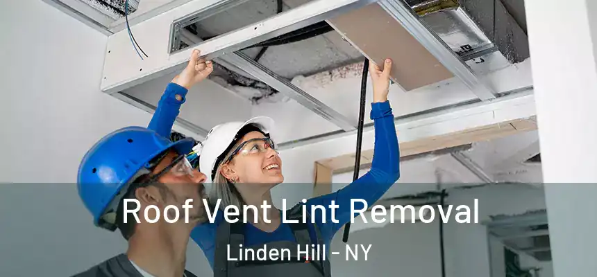  Roof Vent Lint Removal Linden Hill - NY