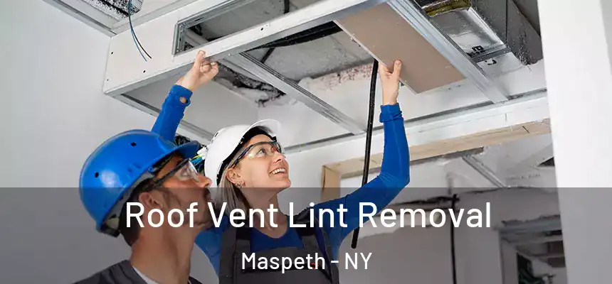  Roof Vent Lint Removal Maspeth - NY