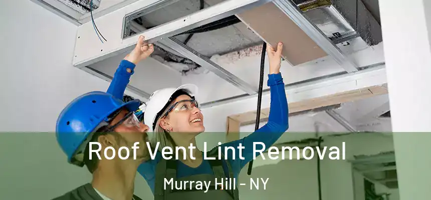  Roof Vent Lint Removal Murray Hill - NY