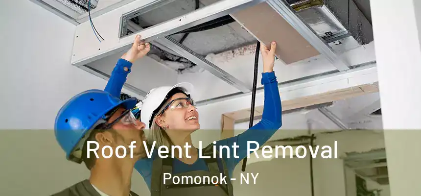 Roof Vent Lint Removal Pomonok - NY