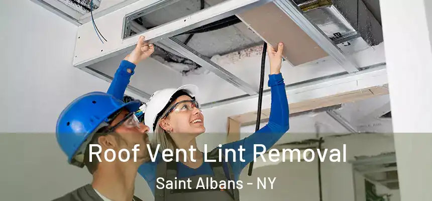  Roof Vent Lint Removal Saint Albans - NY