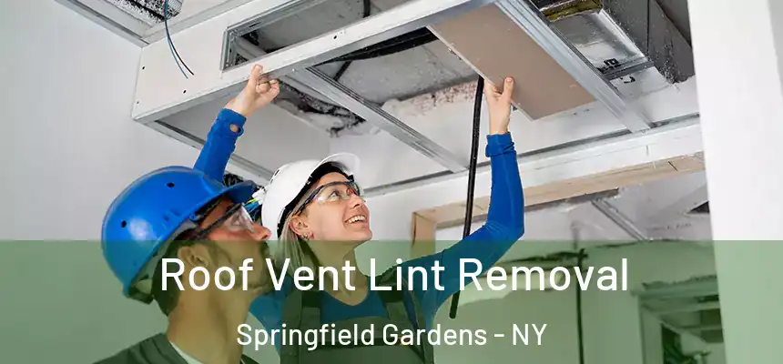  Roof Vent Lint Removal Springfield Gardens - NY