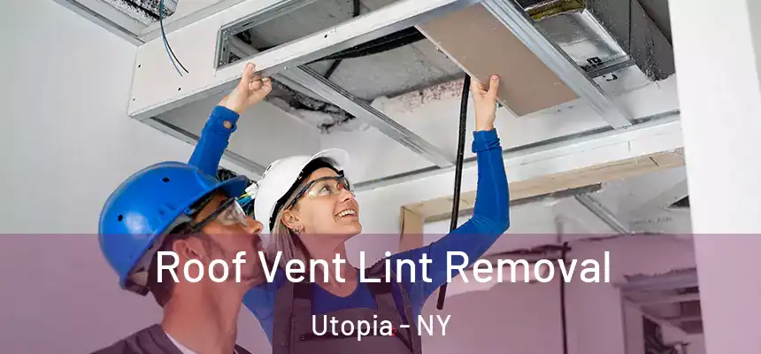  Roof Vent Lint Removal Utopia - NY