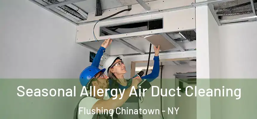Seasonal Allergy Air Duct Cleaning Flushing Chinatown - NY
