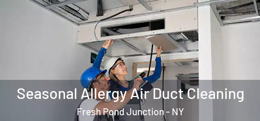 Seasonal Allergy Air Duct Cleaning Fresh Pond Junction - NY