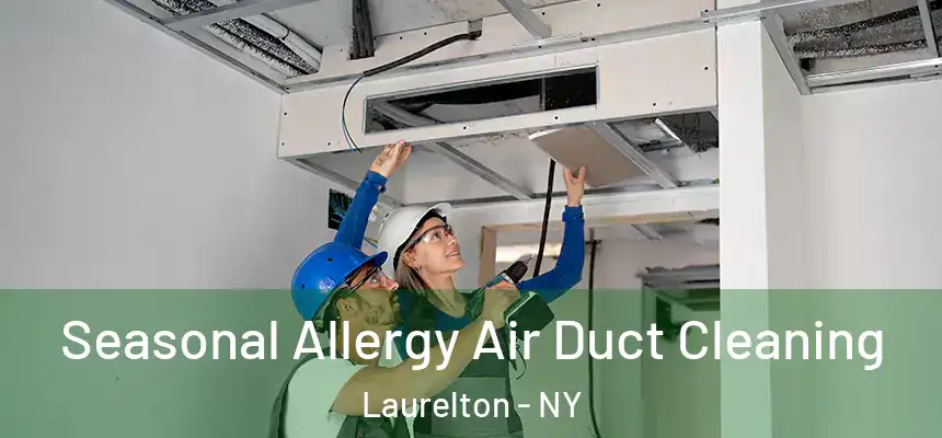  Seasonal Allergy Air Duct Cleaning Laurelton - NY