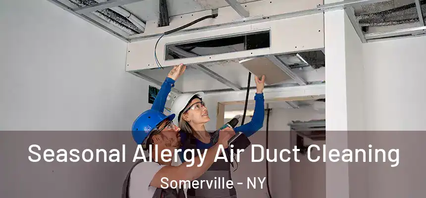  Seasonal Allergy Air Duct Cleaning Somerville - NY