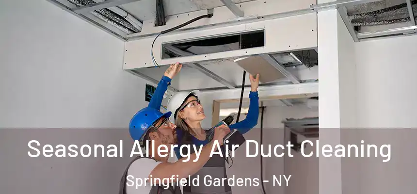  Seasonal Allergy Air Duct Cleaning Springfield Gardens - NY
