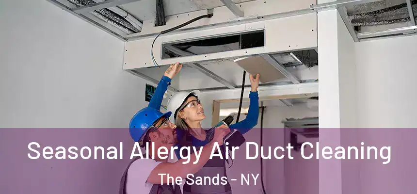  Seasonal Allergy Air Duct Cleaning The Sands - NY