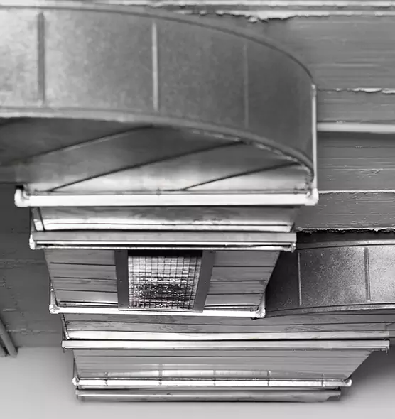 Professional Air Duct Pest Removal in Queens, NY