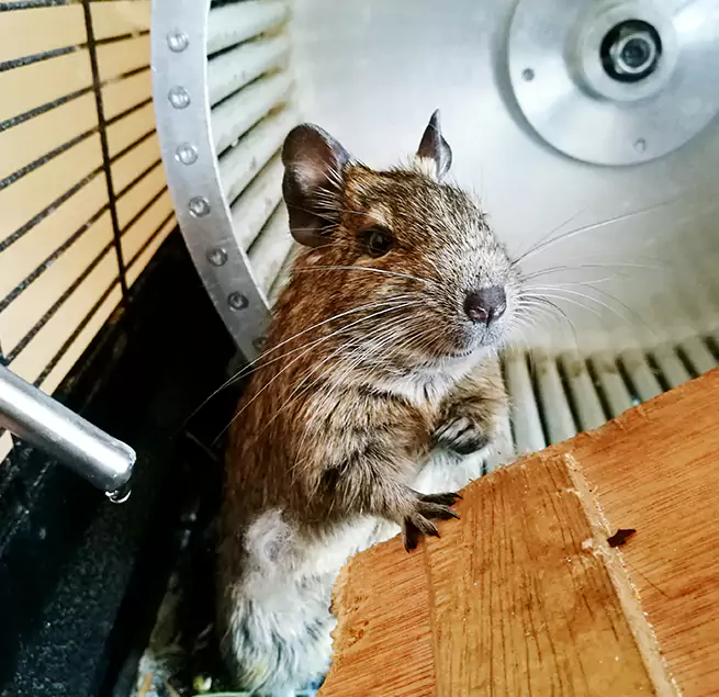 Why Homeowners & Businesses Trust Us Queens, NY?