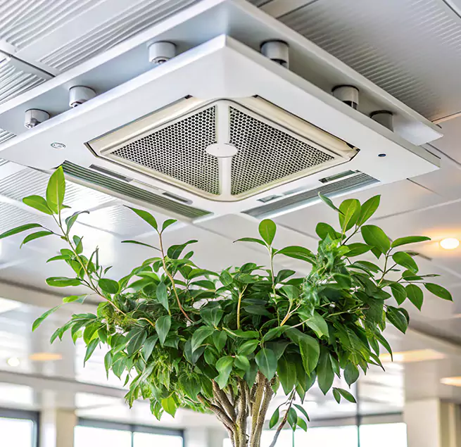 Why Homeowners & Businesses Trust Us in Queens, NY