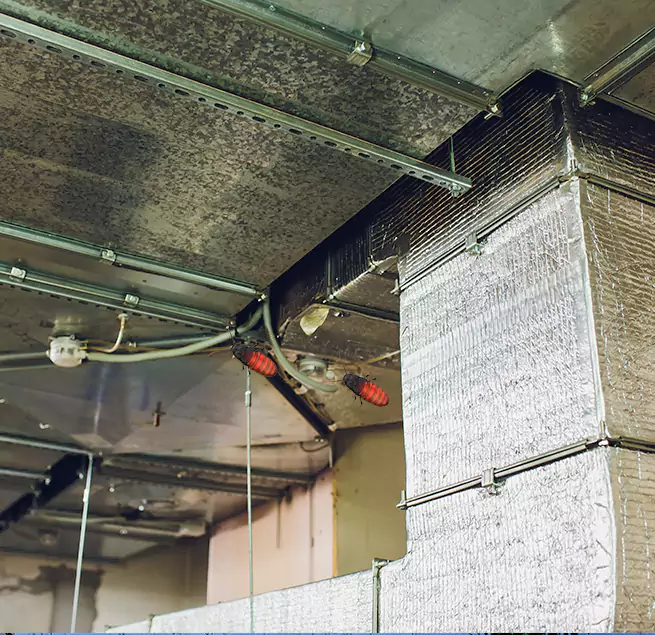 Why Homeowners & Businesses Trust Us Queens, NY?