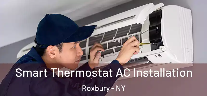  Smart Thermostat AC Installation Roxbury - NY